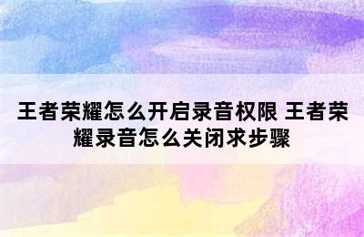 王者荣耀怎么开启录音权限 王者荣耀录音怎么关闭求步骤